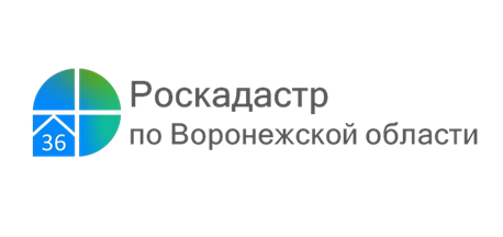 Специалисты Роскадастра расскажут воронежцам о выписках из ЕГРН.