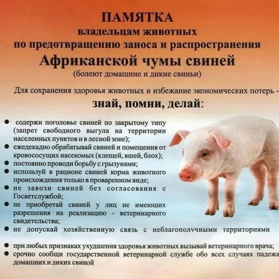 Памятки для населения.